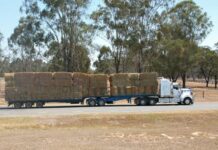 Hay demand through the roof as conditions intensify
