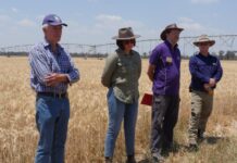 Soil health key to drought resilience