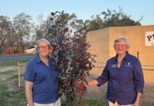 Tree planting remembers those we’ve lost