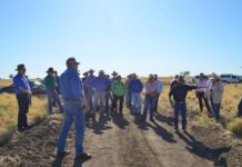 Growers needed for regen ag research