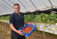 Labor delivers nail in coffin for Emu Swamp Dam