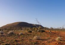 RFDS and HCF committed to improving rural health services