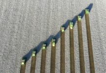 Recent rain helps cotton growers after dry spell