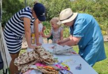 Botanic Beats becomes a regular attraction