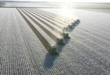 Another bumper cotton crop in 2024