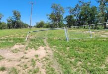 Joy ride hell for Gundy Gun Club