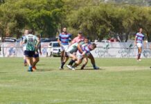 Border Knockout gearing up for a big one