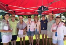 Stingers dive into swim carnival success