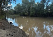 Community the focus of Toobeah land transfer