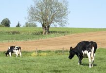 Canberra needs to turn around ag productivity slump