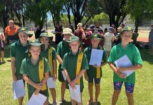 Success in the pool at DD swim trials