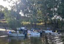 60,000 more fingerlings boost Macintyre River stocks