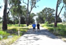 Locals demand tree alternative