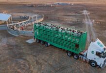 Livestock transport hub launched in Toowoomba