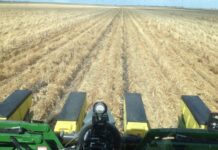 New Leaf Ag named ‘Farmers of the Year’