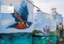 Native trees for Yelarbon streetscape