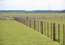 eNVD the smoothest its ever been