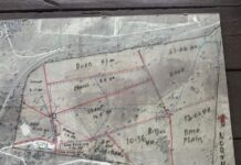 Farmer in Focus: Hamish Holcombe