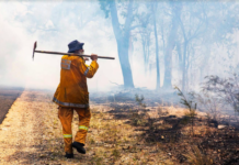 Planned burn operations underway at Boondandilla State Forest