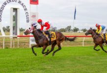 Gundy Picnics takes country racing to a new high