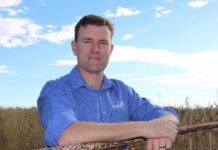 Michael Crowley named MLA’s new Managing Director