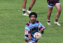 Boars go down, but fight hard against Danes