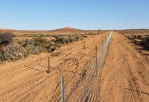 Balonne recognised for exclusion fencing program