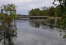 New direction needed for the future of the MDB