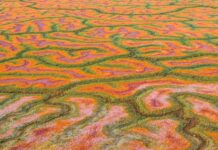 New report highlights rural health inequities