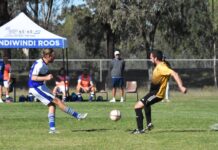 Roos steal huge win in a nail biter