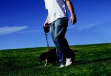 From the Mayor’s Desk . . .