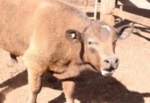 Farmers say NO to federal government . . . Pass vote of no confidence