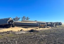 Truck and train collide near Toobeah