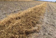 Time to check Maximum Residue Levels for export crops