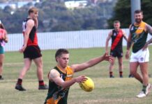 Hawks soar in AFL action