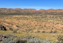 Memories made on Larapinta fundraising hike