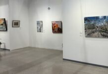 Mervyn Moriarty Flying Arts exhibition wows Goondiwindi