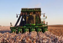 Cotton Australia finalists named