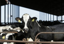 Parliamentarians standing up to ‘Super Tax’