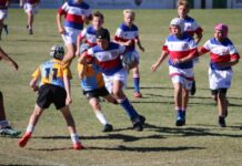 Local boys do our region proud at QLD rugby championships