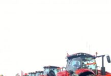 It’s not to late to plant chickpea