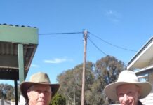 Bowls report 16.6.24-29.6.24