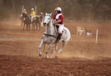 Goondiwindi polocrosse carnival – don’t miss the action