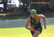 Hawkettes, Hawks flying into finals footy