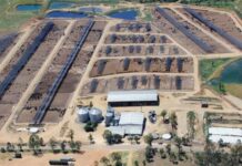 China approves access for new meat processor