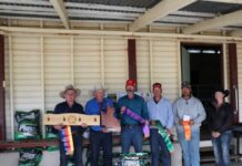 QLD’s best working dogs battle it out at State Utility Champs