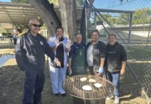 GRC announces over $50,000 in arts and culture funding