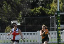 Hawks, Hawkettes soar their way to Prelim finals