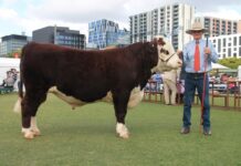 Ekka’s cream of the crop