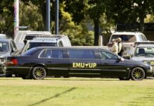 Emus punch their ticket to the dance